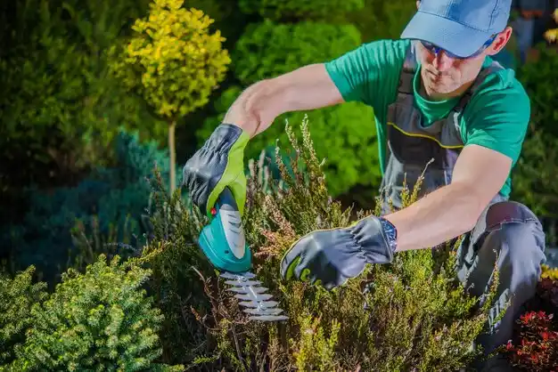 landscaping services Grand Blanc
